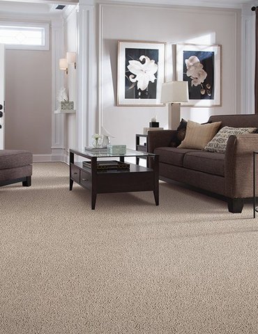 The Okemos, MI area’s best carpet store is Williams Carpet, Inc