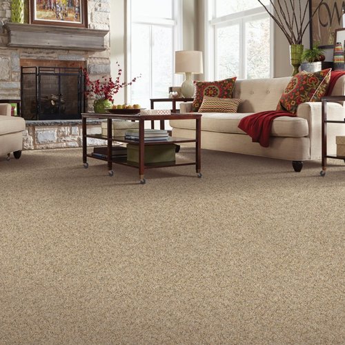 Williams Carpet Inc providing easy stain resistant pet friendly carpet in Okemos, MI - Opulent Escape